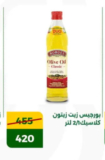 Olive Oil available at Green Tree Hypermarket - Sohag in Egypt - Cairo