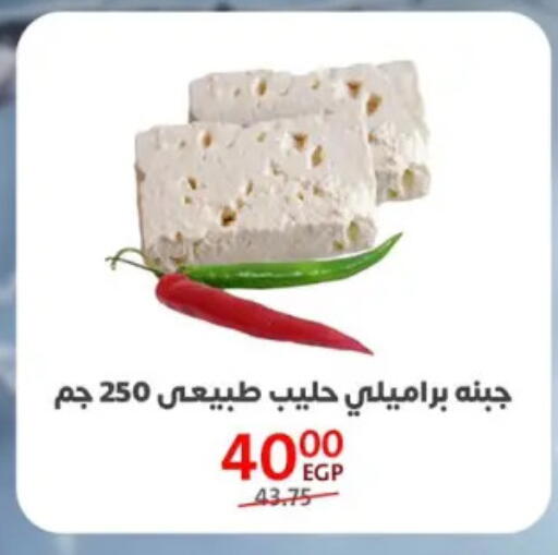 available at داون تاون العرب  in Egypt - القاهرة