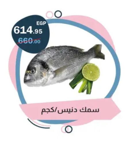 available at Flamingo Hyper Market in Egypt - Cairo