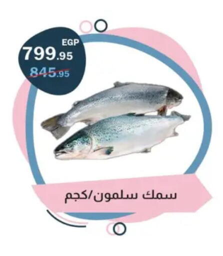 available at Flamingo Hyper Market in Egypt - Cairo