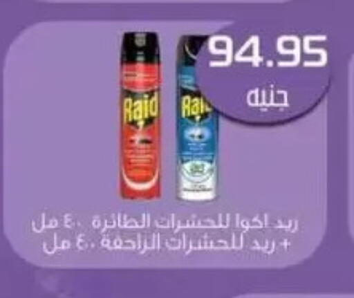 رايد available at Mekkawy market  in Egypt - القاهرة