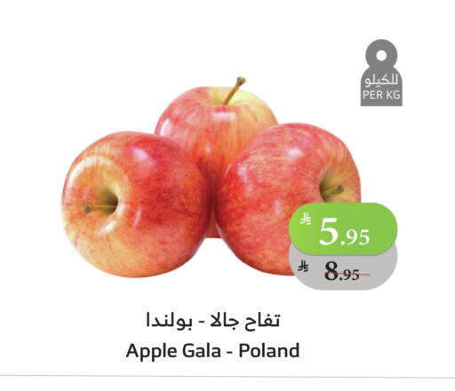 Apples from Poland available at Al Raya in KSA, Saudi Arabia, Saudi - Medina