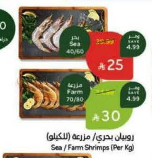 available at Hyper Panda in KSA, Saudi Arabia, Saudi - Abha