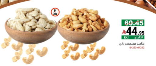 available at House Care in KSA, Saudi Arabia, Saudi - Mecca