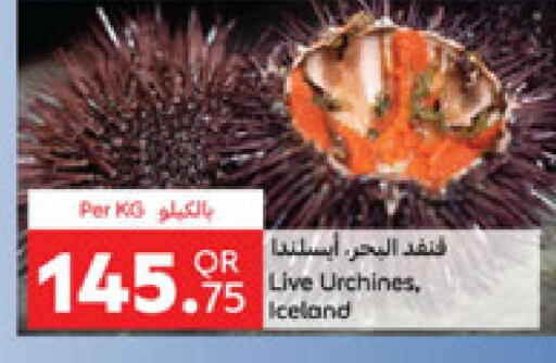 available at كارفور in قطر - الشحانية