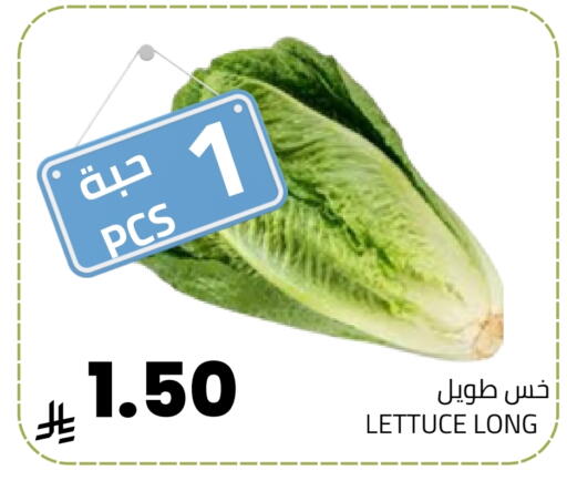 Lettuce available at Astra Markets in KSA, Saudi Arabia, Saudi - Tabuk