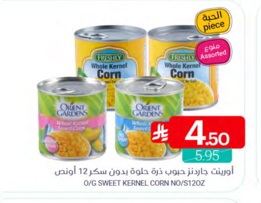 available at Muntazah Markets in KSA, Saudi Arabia, Saudi - Qatif