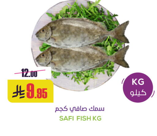 available at Sapt in KSA, Saudi Arabia, Saudi - Buraidah