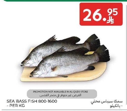 available at Carrefour in KSA, Saudi Arabia, Saudi - Sakaka