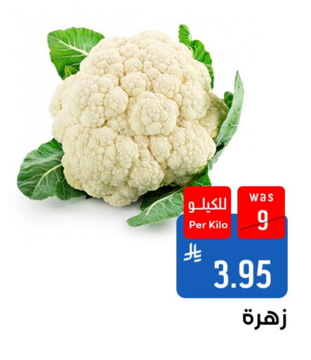 available at شبرا الطائف in مملكة العربية السعودية, السعودية, سعودية - الطائف