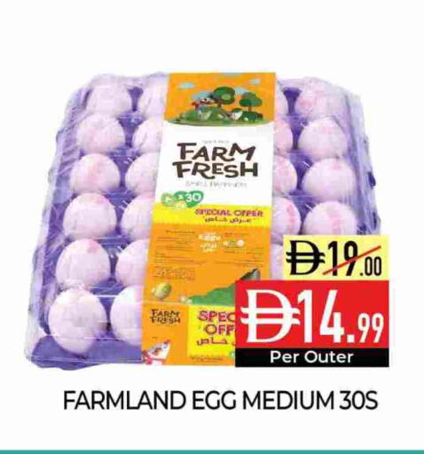 available at Delice Supermarket in UAE - Abu Dhabi