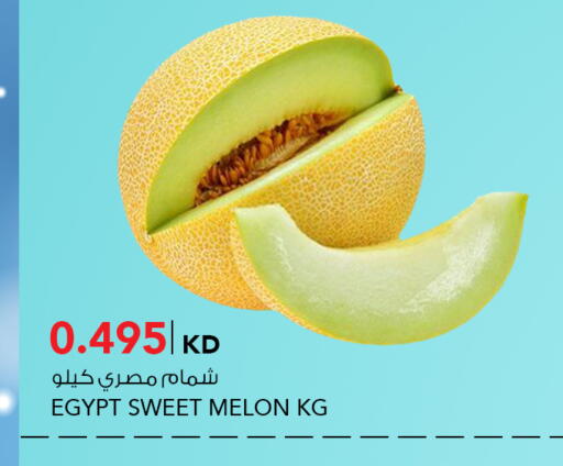 Melon from Egypt available at  ALNASSER HYPERMARKET in Kuwait - Ahmadi Governorate