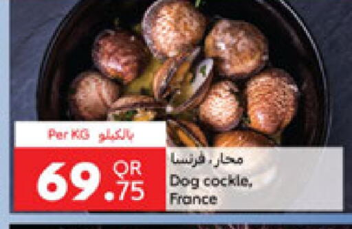 available at Carrefour in Qatar - Al-Shahaniya