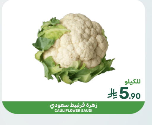 Cauliflower from Saudi Arabia available at Mazaya in KSA, Saudi Arabia, Saudi - Saihat