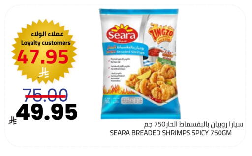 available at أسواق أسترا in مملكة العربية السعودية, السعودية, سعودية - تبوك