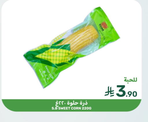 available at Mazaya in KSA, Saudi Arabia, Saudi - Qatif