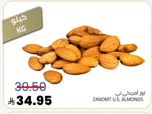available at أسواق أسترا in مملكة العربية السعودية, السعودية, سعودية - تبوك