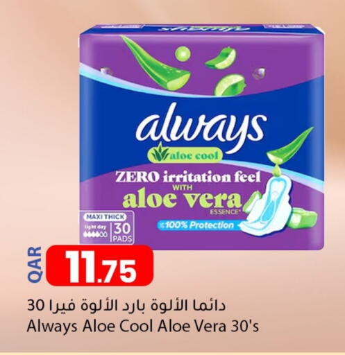 available at دانا ماركت in قطر - الشمال