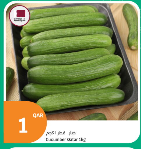 Cucumber from Qatar available at سيتي هايبرماركت in قطر - الوكرة