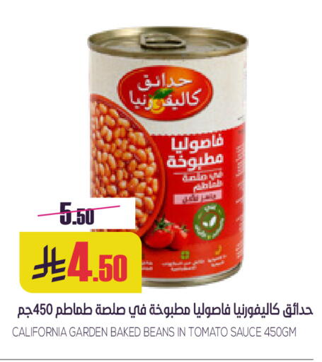 Tomato available at Sapt in KSA, Saudi Arabia, Saudi - Buraidah