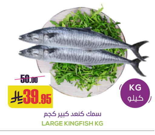 available at Sapt in KSA, Saudi Arabia, Saudi - Buraidah