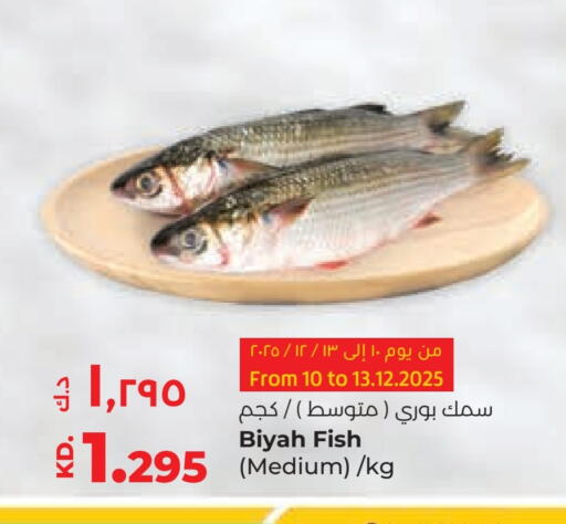available at Lulu Hypermarket  in Kuwait - Ahmadi Governorate