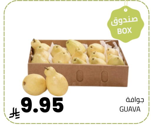 Guava available at أسواق أسترا in مملكة العربية السعودية, السعودية, سعودية - تبوك