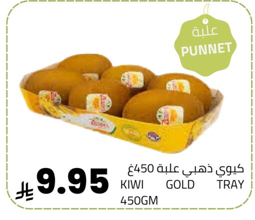 Kiwi available at أسواق أسترا in مملكة العربية السعودية, السعودية, سعودية - تبوك