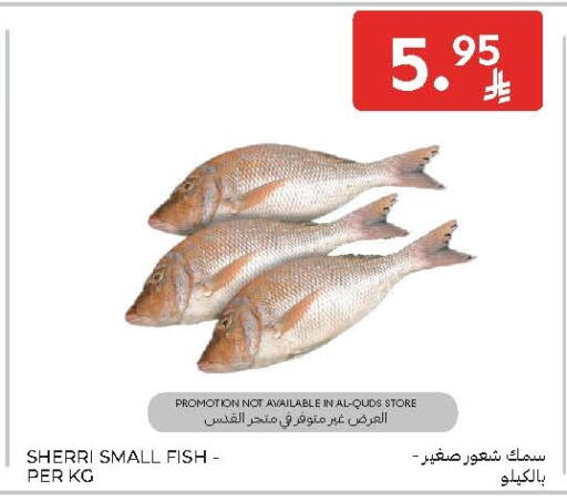 available at Carrefour in KSA, Saudi Arabia, Saudi - Sakaka