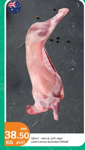 available at سيتي هايبرماركت in قطر - الضعاين