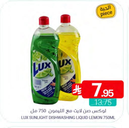 Lemon available at Muntazah Markets in KSA, Saudi Arabia, Saudi - Saihat