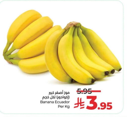 Banana from Ecuador available at لولو هايبرماركت in مملكة العربية السعودية, السعودية, سعودية - الرياض