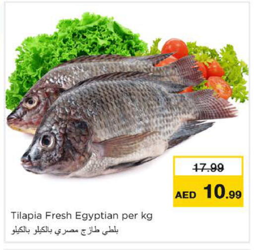 available at Nesto Hypermarket in UAE - Ras al Khaimah
