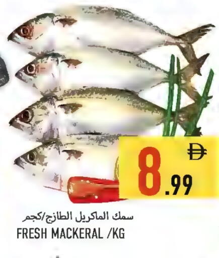 available at  روابي ماركت عجمان in الإمارات العربية المتحدة , الامارات - الشارقة / عجمان