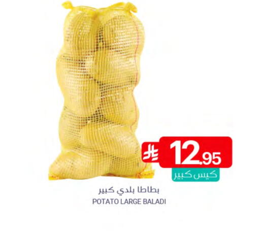 Potato available at Muntazah Markets in KSA, Saudi Arabia, Saudi - Qatif
