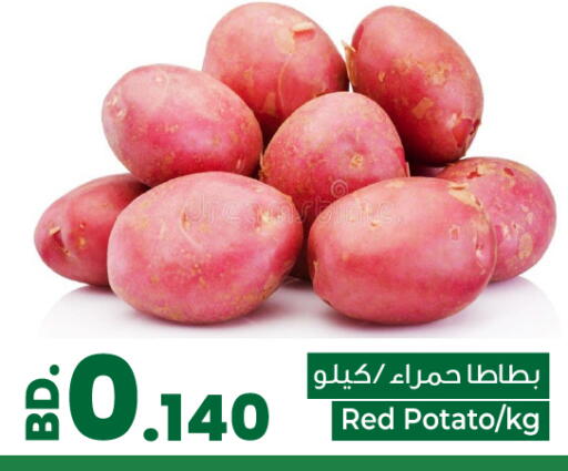 Potato from Bahrain available at بحرين برايد in البحرين