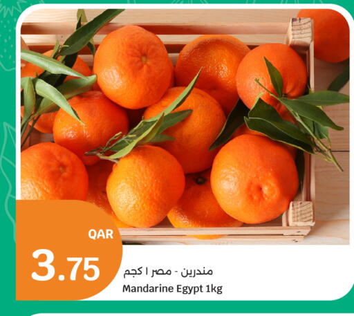 from Egypt available at سيتي هايبرماركت in قطر - الشمال