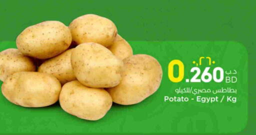 Potato from Egypt available at نستو in البحرين