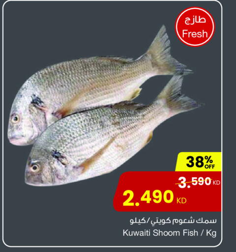 available at The Sultan Center in Kuwait - Ahmadi Governorate