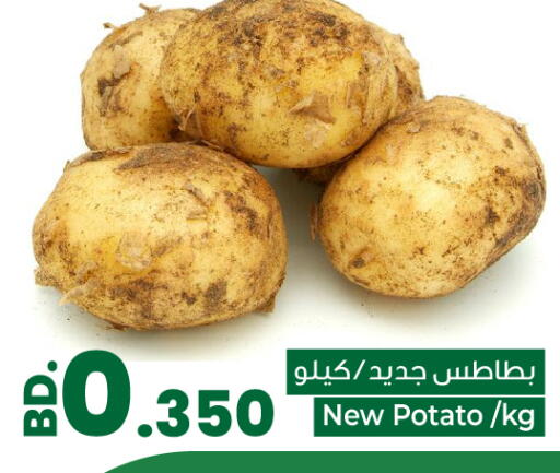 Potato from Bahrain available at بحرين برايد in البحرين