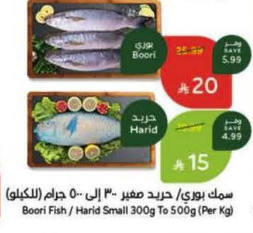 available at Hyper Panda in KSA, Saudi Arabia, Saudi - Ta'if