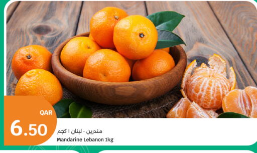 from Lebanon available at سيتي هايبرماركت in قطر - الشمال