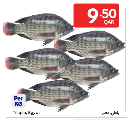 available at Carrefour in Qatar - Al Rayyan