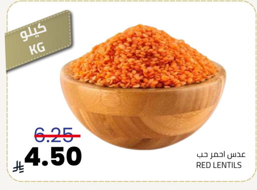 available at أسواق أسترا in مملكة العربية السعودية, السعودية, سعودية - تبوك