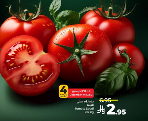 Tomato from Saudi Arabia available at لولو هايبرماركت in مملكة العربية السعودية, السعودية, سعودية - الخبر‎