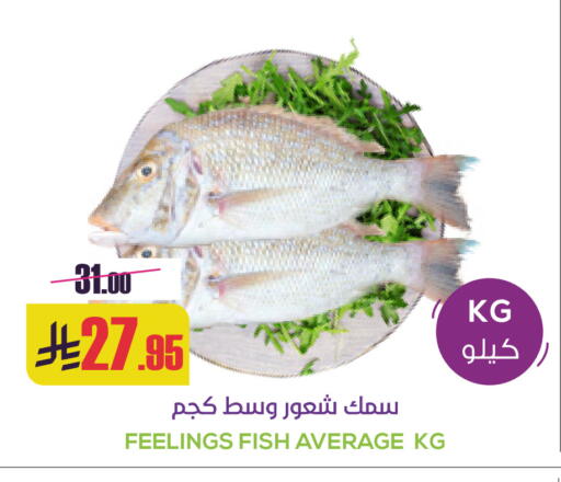 available at Sapt in KSA, Saudi Arabia, Saudi - Buraidah