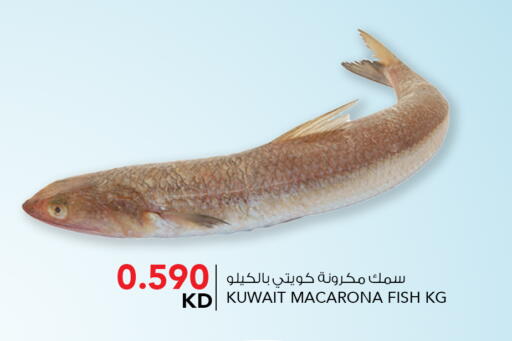 available at  ALNASSER HYPERMARKET in Kuwait - Kuwait City