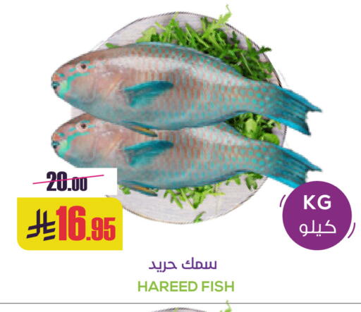 available at Sapt in KSA, Saudi Arabia, Saudi - Buraidah