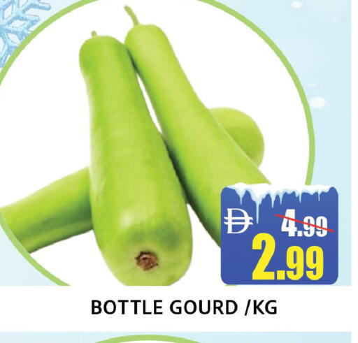 available at ليبتس هايبرماركت in الإمارات العربية المتحدة , الامارات - رَأْس ٱلْخَيْمَة