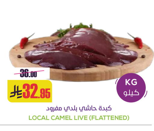 available at سبت in مملكة العربية السعودية, السعودية, سعودية - بريدة